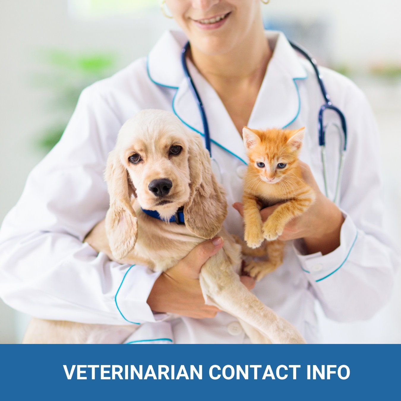 Pet in a Rental - It's their home too! Expectations and responsibilities - (4 pages) - plus a bonus