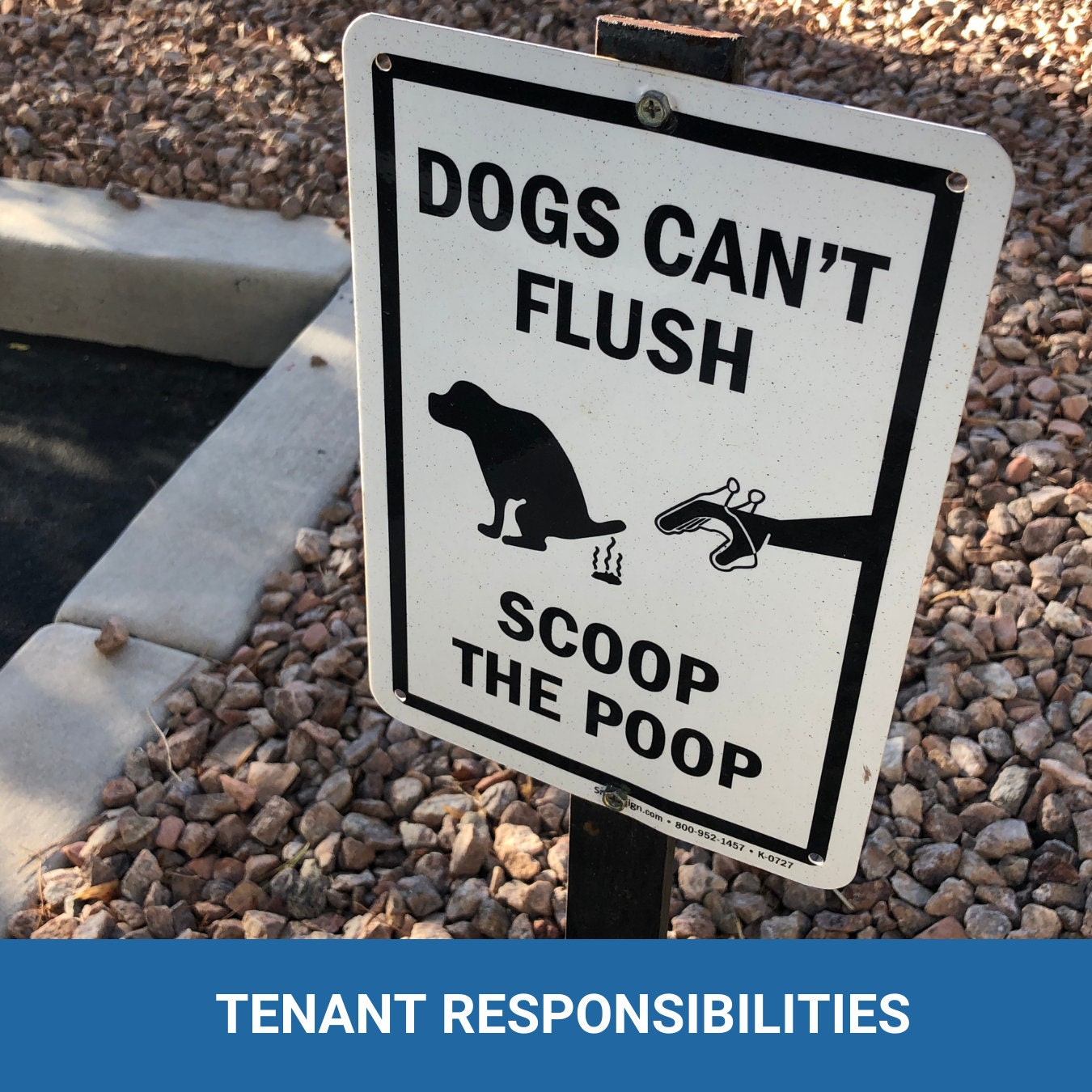 Pet in a Rental - It's their home too! Expectations and responsibilities - (4 pages) - plus a bonus